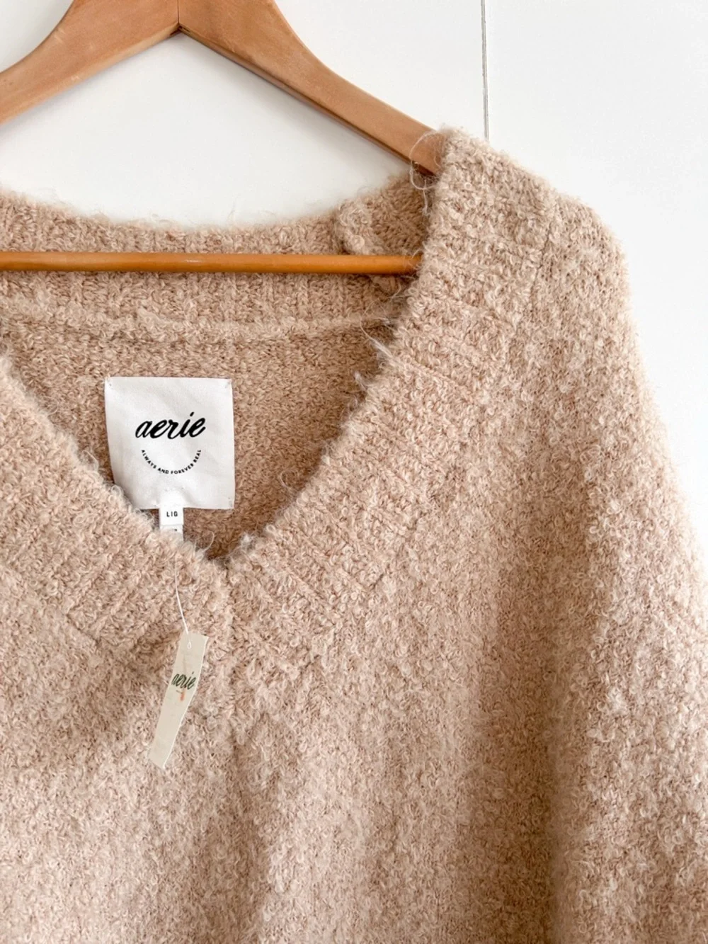 Aerie Teddy Boucle V-Neck Sweater NWT • Sz Large
